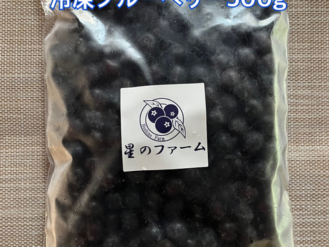 お得です！【農薬不使用】星野村産　朝採り冷凍ブルーベリー　1kg(500gx2)  今年最終収穫のブルーベリーで不揃いですが甘いです♪