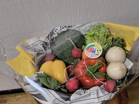 🍅🥒京野菜ブーケ💐【大切な方へ◎野菜セット】