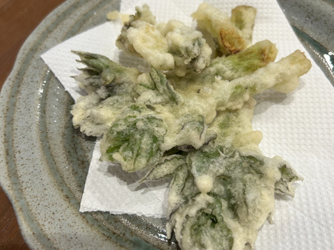 春の訪れ！ウド(300〜400g)。まずはこれから！お試し商品。