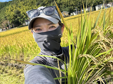 きぬむすめ 10キロ　令和7年