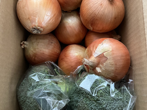 ブロッコリー2株×淡路島玉ねぎ10個セット【祝!3年連続金賞🏆】