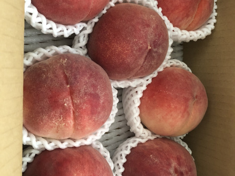 【7月下旬】かたい桃「なつっこ」約2kg・6～8玉１箱山梨県南アルプス上宮地産