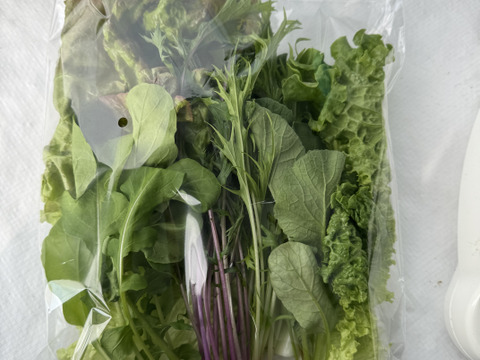 【年末年始は豪華に時短‼️】サラダセット4〜5種類入り🌱年越しはこれで😊