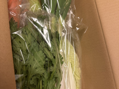 【初回限定BOX】使いやすいお野菜セット※おススメレシピ付き‼