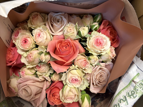 Rose bouquet S ~同系色でまとめたバラの花束~