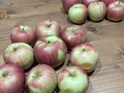 信州りんご🍎４キロ