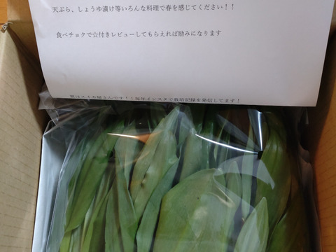山菜の王様　行者にんにく　天然　250ｇ　毎年人気商品