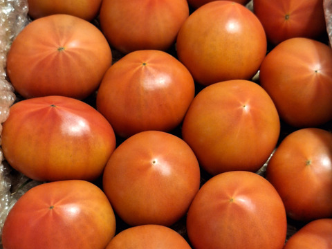 規格外小さめ★80サイズ箱詰め合わせ