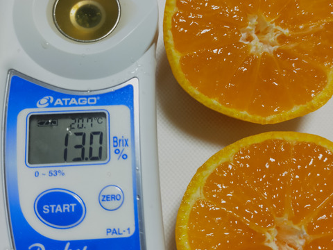 有田みかん　ご家庭用　5 kg（箱込）80