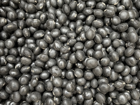 ４種食べ比べ🫘小豆＋黒豆＋鶴の子大豆＋くらかけ豆（4種✕200g＝800g）★北海道産★農薬化学肥料･除草剤不使用🫘☺️メール便📨