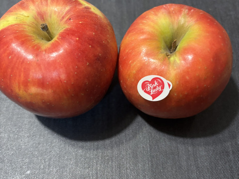 満点青空レストランで話題です🍎【りんごの概念変わります】奥州ロマン 3キロ箱 6玉〜15玉サイズ　長野県 信州 安曇野 リンゴ 幻  希少 旬 甘い 幻の林檎  ID52109