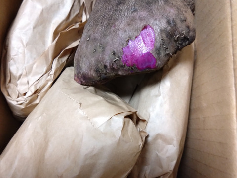 【農薬不使用】紫山芋２キロ