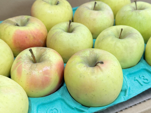 【お手頃・小玉】ぐんま名月　カワイイ小玉💛家庭用約2.7Kg🍏　青森県産　数量限定　程よい大きさ　長持ちしやすい小玉