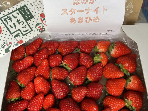 【いちご食べ比べ】苺3品種以上の朝採り完熟苺（700ｇ）