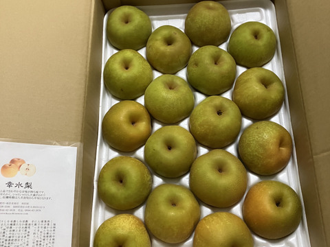 幸水梨（家庭用） 約5kg(10～18玉) ※お届けは8月7日前後から