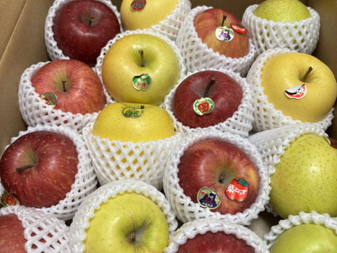 🍎すぐ発送🍎ジューシー◆甘さが違う！葉とらず入り品種ミックス🍎贈答用5キロ【冬ギフト】のし対応