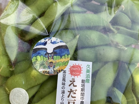 ＜予約＞　6月末頃から順次発送　枝豆（茶豆風味）味よし風味良し　栽培期間中農薬・化学肥料不使用自然栽培（250ｇ×２パック）
