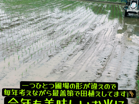 新米 令和7年度産【もりのくまさん】白米10キロ 熊本の地下水使用