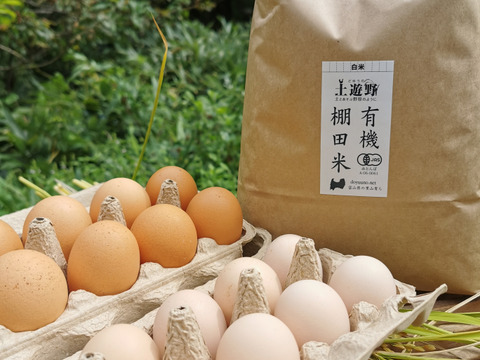 【詰合せ】【令和3年産新米】有機棚田米てんこもり3kgと平飼い卵10個（Ｓ－Ｌ混合）　レモンイエローの黄身！