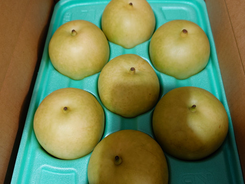 予約】梨 二十世紀 良品 約3kg ‼️長野県産：長野県産の二十世紀梨