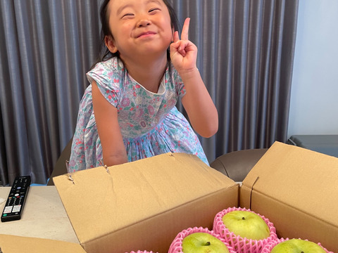 なつひめ梨　3キロ