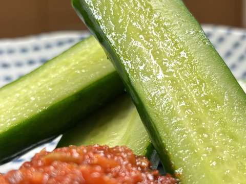 太陽のごちそう！パリッとひなたきゅうり A品1kg(箱重量込)