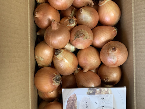 【訳あり！小玉5kg】淡路島たまねぎ 兵庫認証食品 ひょうご安心ブランド 特別栽培 あさひサンファーム ご家庭用 一人暮らし 南あわじ市 淡路島産たまねぎ 小さいサイズ S玉 レシピ付き！
