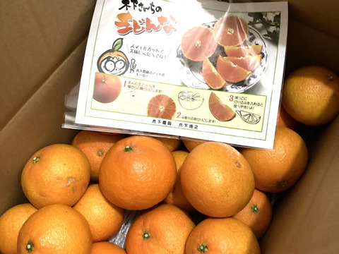 ☆農園1番人気☆まどんな　家庭用10キロ(5キロ×2箱)