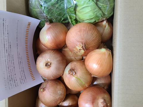 【今だけ！数量限定】大人気♪グリーンボール２玉と特別栽培淡路島玉ねぎ5キロ
