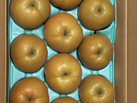 あま酸っぱーい梨♡豊水【ﾁｮｯﾄ訳あり】5kg