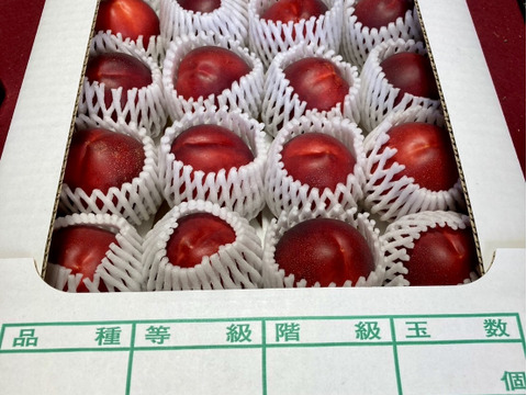 濃厚ネクタリン黎明 A品（約3㎏）