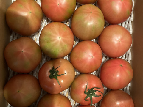 『陽の香り』４キロ箱満杯詰め　長野の自然が育てた恵　桃太郎トマト