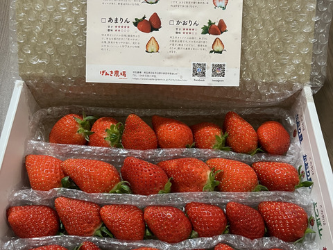 《完熟!いちご狩り気分セット》お家で【食べ比べ】♪ 埼玉県羽生市産【いちご食べ比べ】