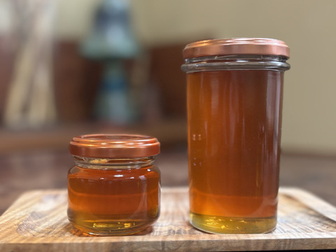 R7.秋の新蜜　西洋蜜蜂のはちみつ
大阪産　キウイ畑の生はちみつ