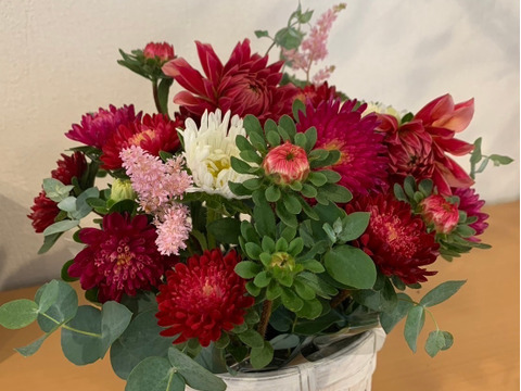 【日光園藝オリジナル】アスターと季節のお花アレンジメント