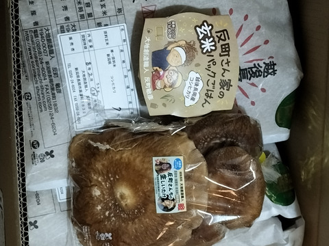 【令和７年新米】　新潟県産コシヒカリ　反町の【玄米】・精米はとても食べやすいですよ（３０㎏）