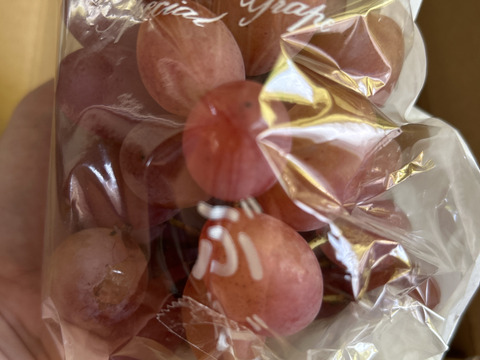 【カナダ人農園主の真心を込めた】サニールージュ約１ｋｇ（ご家庭用）