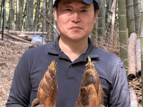 【朝堀り】自然栽培たけのこ２kg