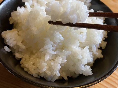 【お試し品】石澤農園さんの白米「ゆうだい21」1kg