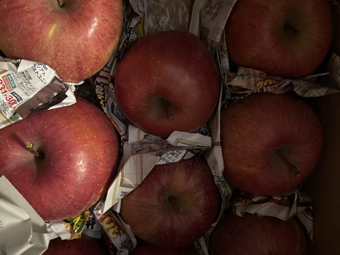 【すぐ出荷OK】葉とらずサンふじ　家庭用B品　3キロ箱（3.2キロぐらい入ります）　JA基準より60％減の低農薬栽培