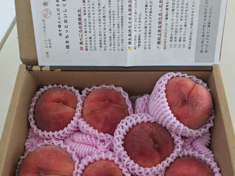大人気の白桃！ 【 限定100箱 】 8月中旬～9月中旬頃発送 訳あり品 白桃 約2㎏ （5玉～9玉入り） 家庭用 
 MG04-01-01
