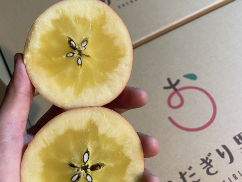 【先行予約】ぐんま名月、サンフジ、高徳3種類約2キロ6〜9個【りんご食べ比べ】