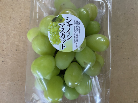 朝採り　当日発送　シャインマスカット　350g×2房　順次発送中