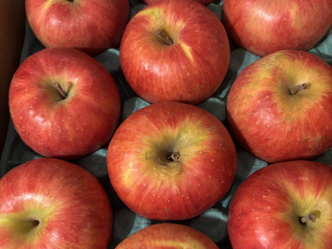 満点青空レストランで話題です🍎【りんごの概念変わります】奥州ロマン 3キロ箱 6玉〜15玉サイズ　長野県 信州 安曇野 リンゴ 幻  希少 旬 甘い 幻の林檎  ID52109