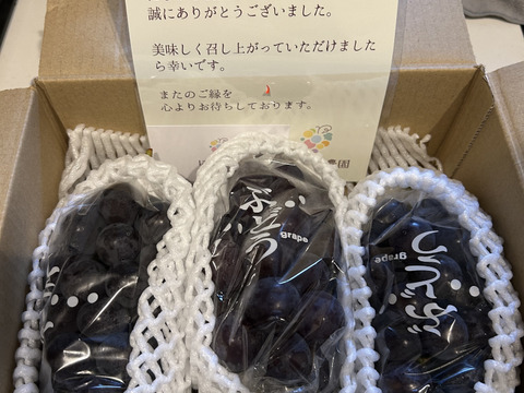 旬の果実！山梨県産ピオーネ1kg（2～3房）