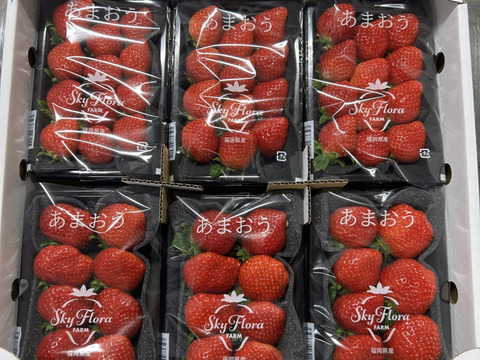博多あまおういちご Gタイプ 270g×2パック【あまおう祭り】-2月