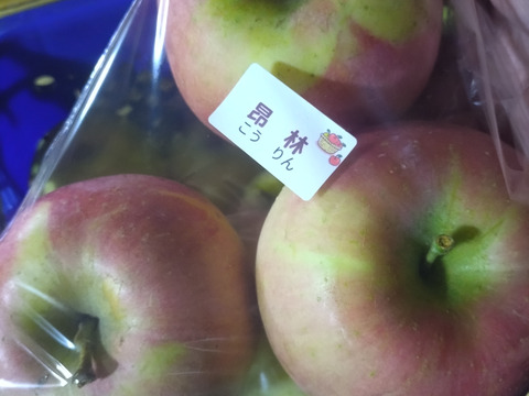 家庭用🍎旬のおまかせ葉とらずりんご🍎品種9個〜11個詰め3㌔箱