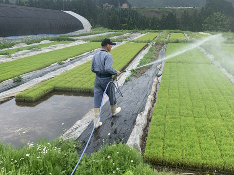 金賞🥇& 世界最高米原料米‼️ 【水素米】 農薬・化学肥料不使用 コシヒカリ2kg