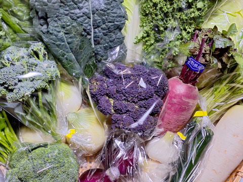 違いがわかる主婦の【春野菜Mセット】箱一杯に詰めます！