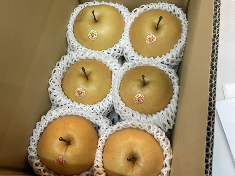 【贈答用】【6玉入】梨の王様「新高梨」食べ応え抜群！